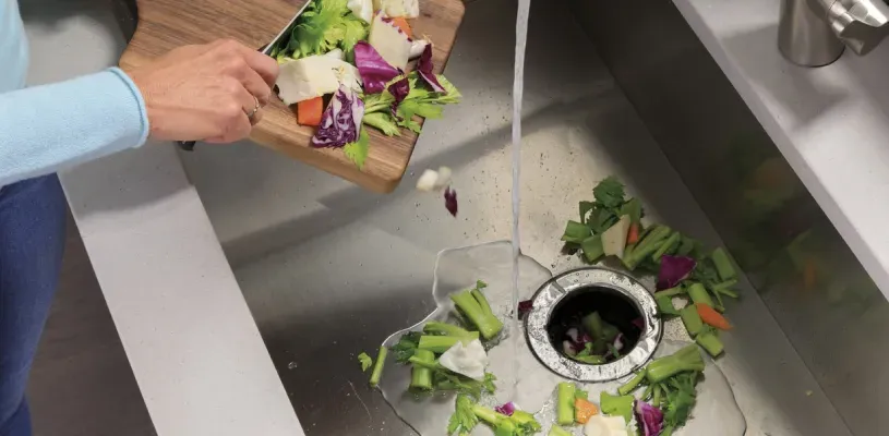 food-disposall-food-disposal